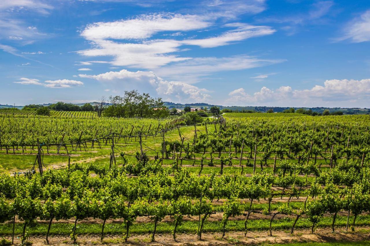 Гостевой дом Agriturismo Trere Фаэнца Экстерьер фото